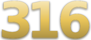 316 logo